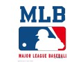 st-louis-cardinals-and-tampa-bay-rays-slated-small-0