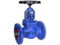 globe-valves-dealers-in-kolkata-small-0